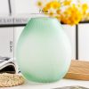 round glass vase